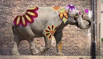 There's an elephant on Langham Place