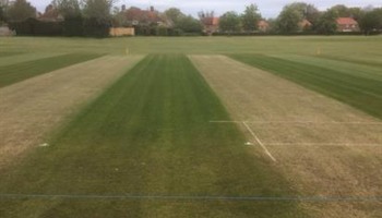 Keep cricket on the Village Green