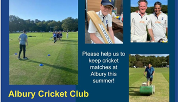 Replace our Cricket Mower