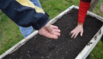 Grow, learn & cook: SAW community garden
