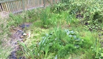 Fairfield School Pond Transformation