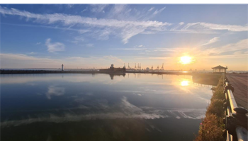Bringing the Marine Lake back to life