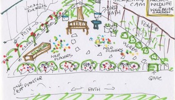 The Arches Wildlife & Wellbeing Garden