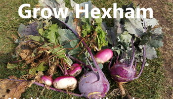 Grow Hexham