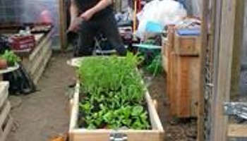 Food growing in the park