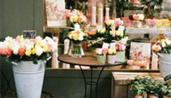 The Flower Bank Hub