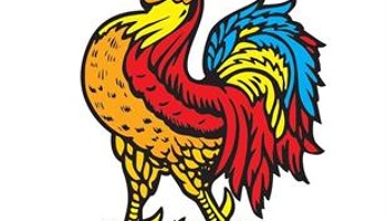 Help Harrogate CC to recover from Covid