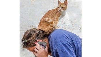Community Rescue Cat Cafe 