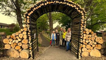 Rowlands Dell: A Green Haven Restored