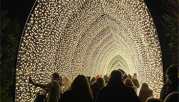 The Tenterden Light Trail Experience