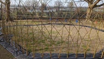 School Mindfulness Garden  
