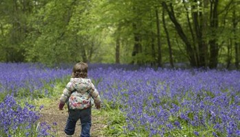Colour the Gardens 