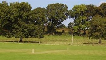 Whitchurch Wayfarers Cricket Restart