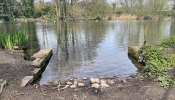 East Malling Lake Community Project