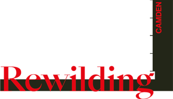 Growing Raglan : Rewilding Camden