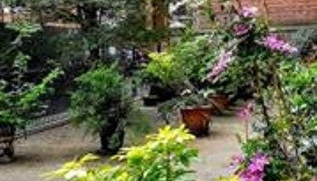 Urban Wood for Grosvenor Residents