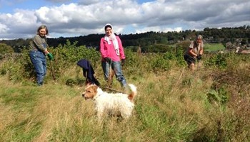 Growing Communities