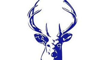 BacupCC junior & senior cricket fund