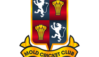 Raising Funds for Mold Cricket Club