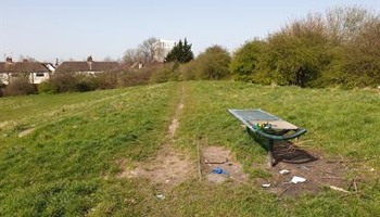 Millenium green Community Garden 