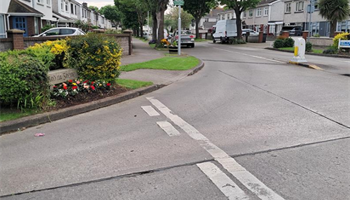 Landscaping Ard Na Greine Estate