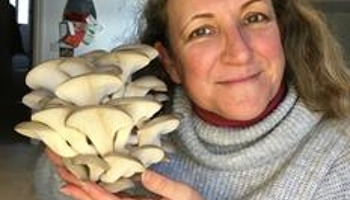 Margate Mushrooms