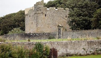 Bees and Trees in Cresswell