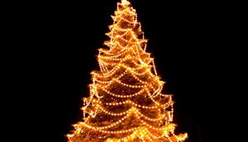 Light up St Albans