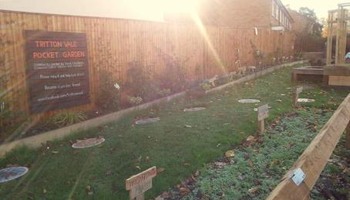 Tritton Vale Pocket Garden Goes Greener!