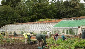 Community Food Growing at Bedfords Park