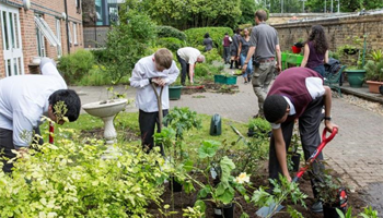 Elgin Intergenerational Garden Project