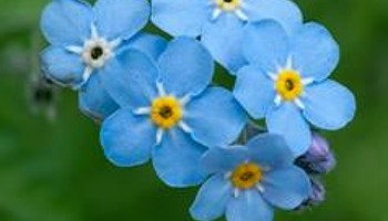 Restore Verges in 3 Shropshire Parishes