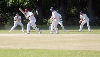 Cricket Net Refurbishment - Saltwood CC