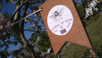 North Acton Community Arts Hub