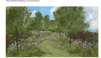 A Centenary Rose Garden for the future
