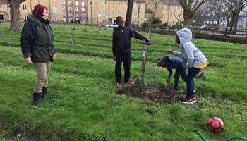 Pop-up Compost