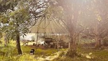 Community forest school in Pirbright