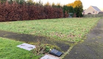 New Community Garden in Llansamlet