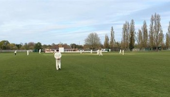 Support Chiswick Cricket Club