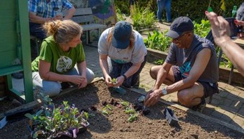 Save Bentley Urban Farm