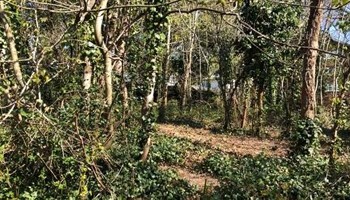 Creating a wildlife wonderland
