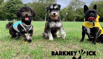 A dog day care centre for Hackney Wick