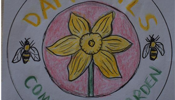Creation of Daffodils Community Garden