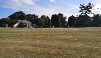 Support Whiteparish CC during COVID-19