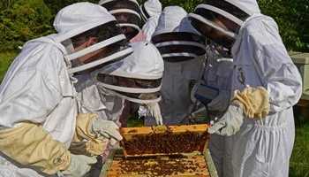 Bee Workers to Key Workers 