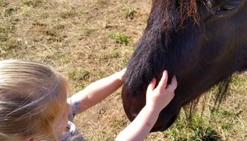 Equine Facilitated Learning Mobile Unit 