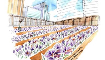 Croydon Saffron Central