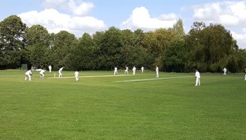 Help Elsworth CC bounce back!
