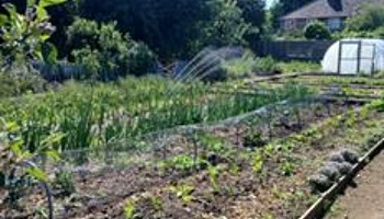 Phoenix Farm: Growing Community Roots
