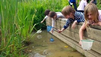 Greenwich Outdoor Classroom